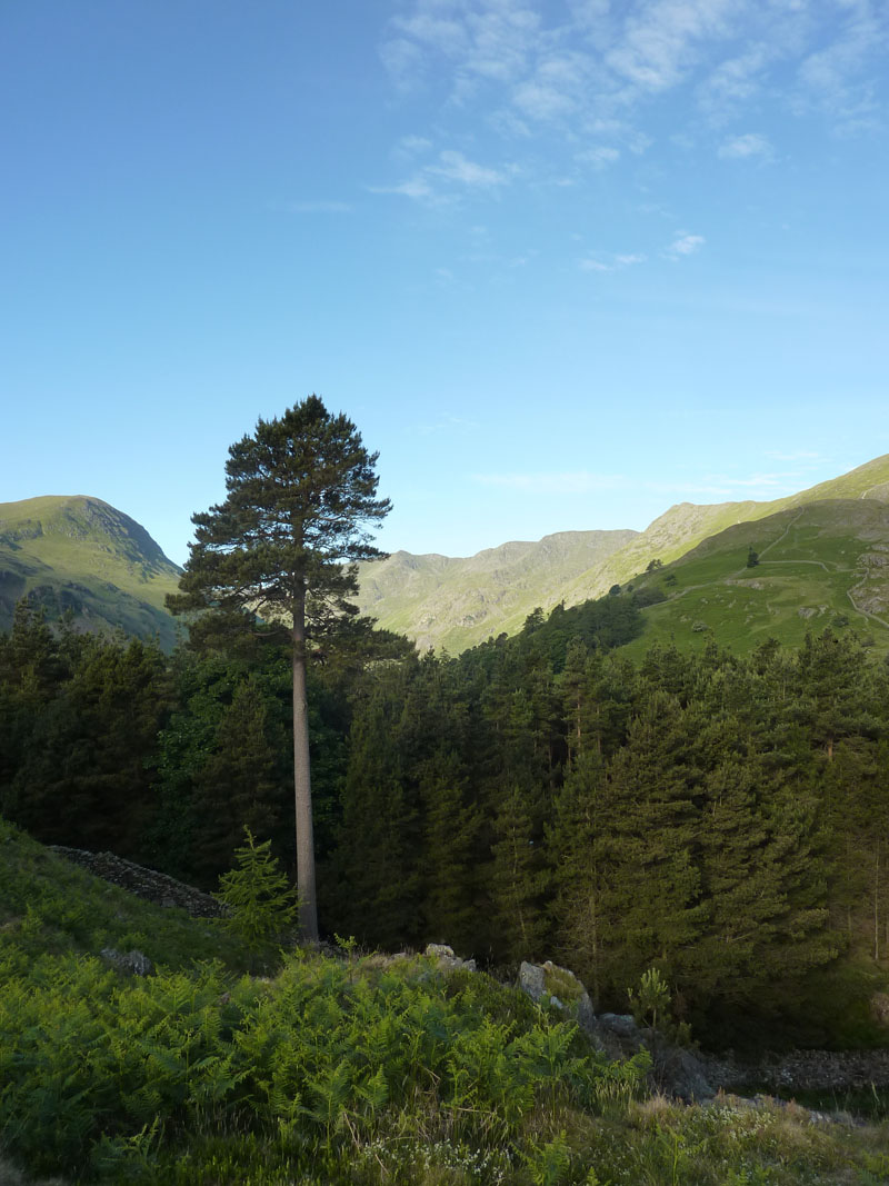 Grisedale